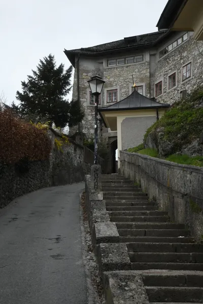 DSC_7007 (Large).JPG